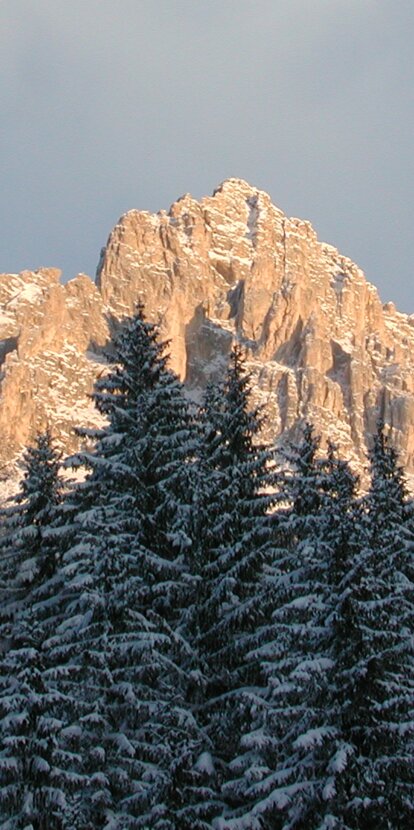 Winter Schnee  Wald Berg | © Ph. Obereggen AG