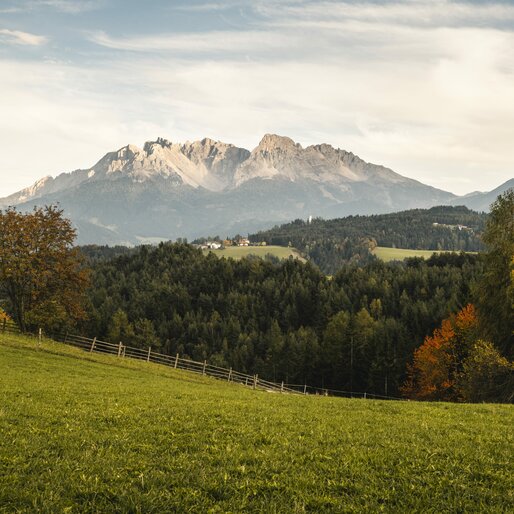 Deutschnofen/Nova Ponente - Autumn | © IDM/Alex Moling Autumn atmosphere Deutschnofen/Nova Ponente | © IDM/Alex Moling