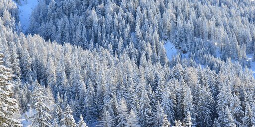 winter landscape | © Ph. Thomas Ondertoller forest mountains cable car snow | © Ph. Thomas Ondertoller